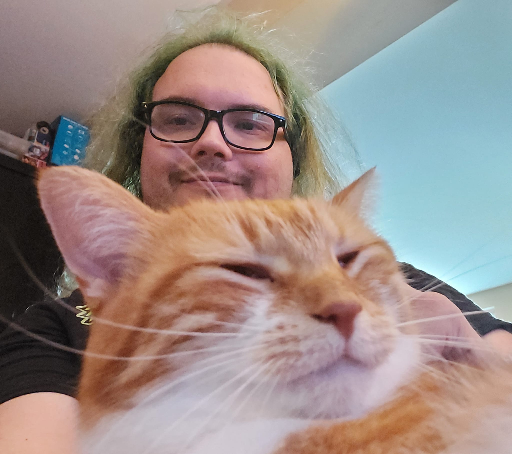 A man with long green hair and no beard sits in a computer chair, with an orange cat in his lap